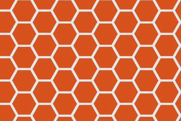 Bassinet (fits Halo) - Burnt Orange Honeycomb - Fitted